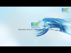 Batteria al litio Primart