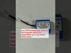 Batteria ricaricabile da 4200 mAh a bassa velocità di auto-discarica per prestazioni affidabili e durature