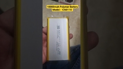 #10000mah Batteria polimerica