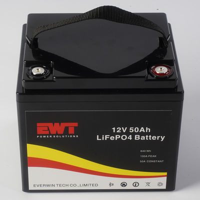 comprare ABS Case LiFePO4 36V 50Ah Lithium Iron Phosphate Battery Module per applicazioni industriali online manufacture