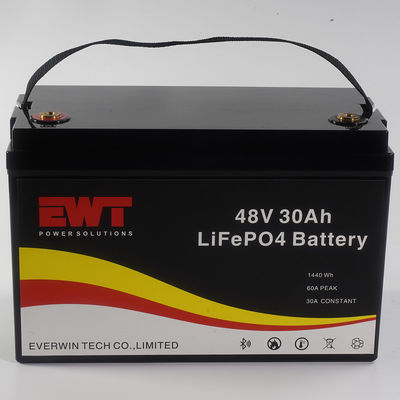 Alta sicurezza 48V 30Ah Lifepo4 Batteria di accumulo di energia per acido piombo