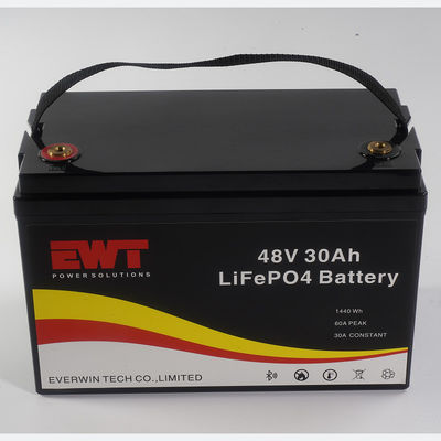 Display di capacità della batteria intelligente con BMS 48V 30AH Support Factory OEM Service