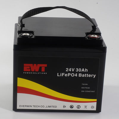 Lifepo4 con batteria portatile 24V 30AH con Bluetooth Can