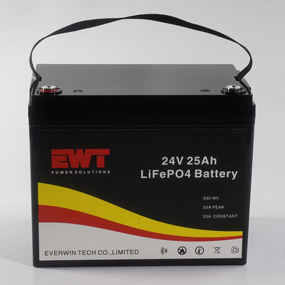 Alta sicurezza ed efficienza Batteria LFP 24V con BMS integrato Corrente di carica massima 20A