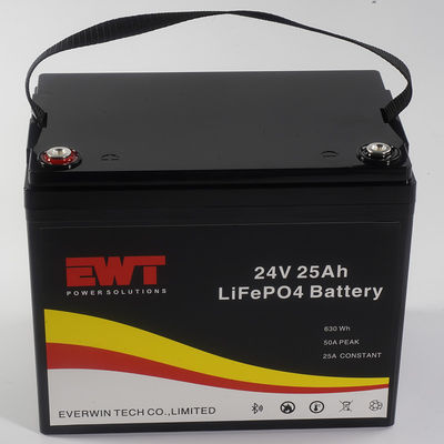 Batteria LiFePO4 24V con materiale anodico LFP e BMS integrato per applicazioni industriali