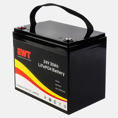 Batteria al litio ferro fosfato 24V ecologica con costo accessibile e elevata densità energetica